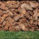 MiYA™ - Indian Pine Bark - Super - Garden Mulch - Pine Bark Chips - Pine Bark Mulch - Potting Soil Mixture - Nainital, Uttarakhand, India for Home